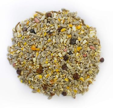 Extra Select Robin and Song Bird Feed Mix, 1 kg