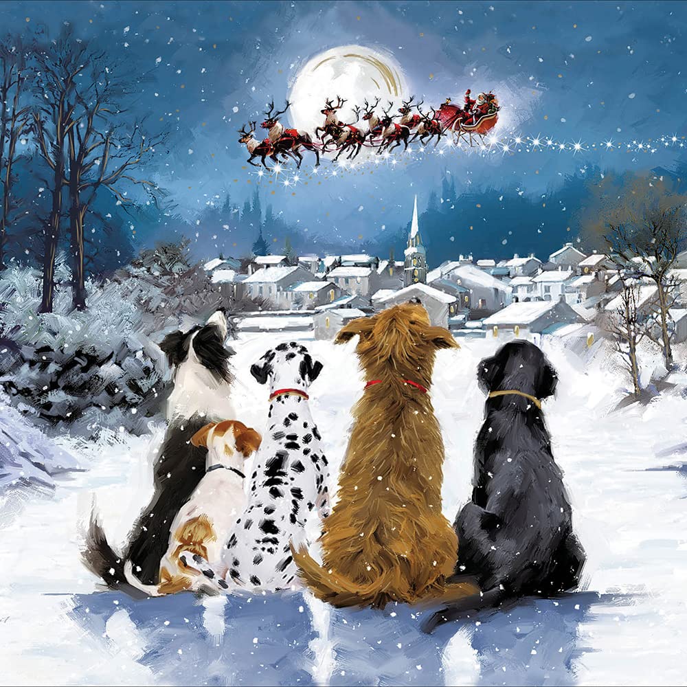 Special Friends Christmas Card Dog And Cat Snuggle - Highworth Emporium - View #10