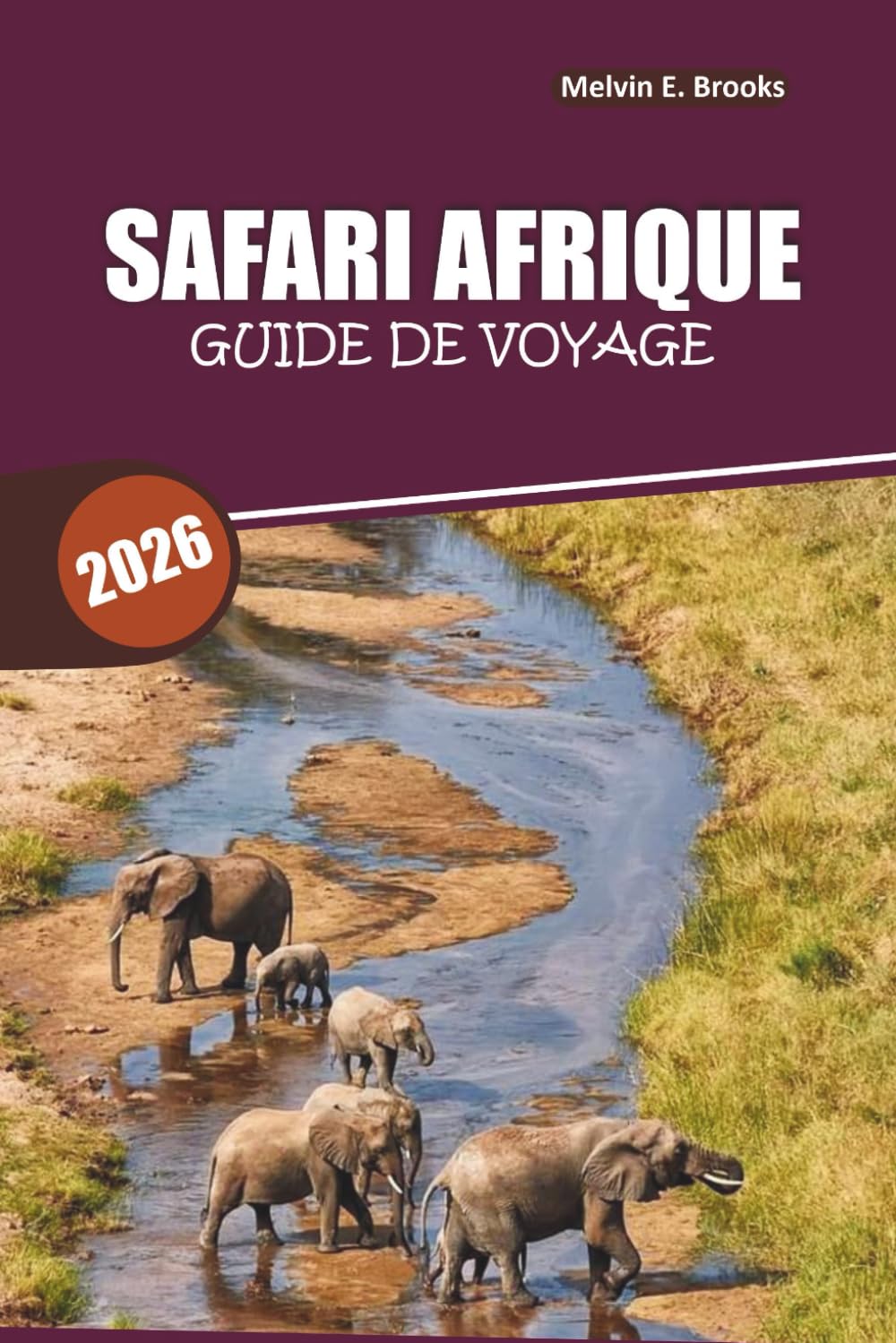 Guide de voyage Safari en Afrique 2026: Votre ressource ultime pour des rencontres et aventures durables avec la faune
