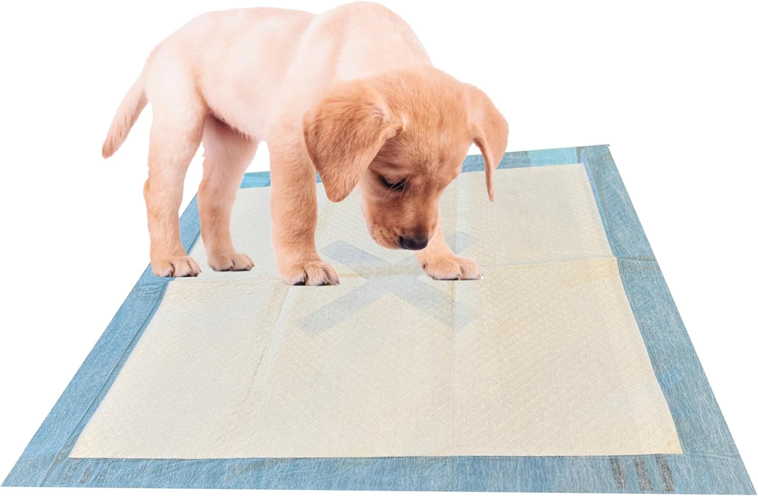 SPOT X Marks The Extra Absorbent Pee Pads | Puppy Pads | Puppy Pads with Adhesive | Training Pads | Dog Pads | Dog Pee Pads | Dog Potty Pads | Adhesive Strips | 22″X22″ | 30 CT,White