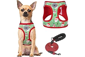 Christmas Dog Harness for Small Dogs, Pet Chest Harness & Dog Leash...