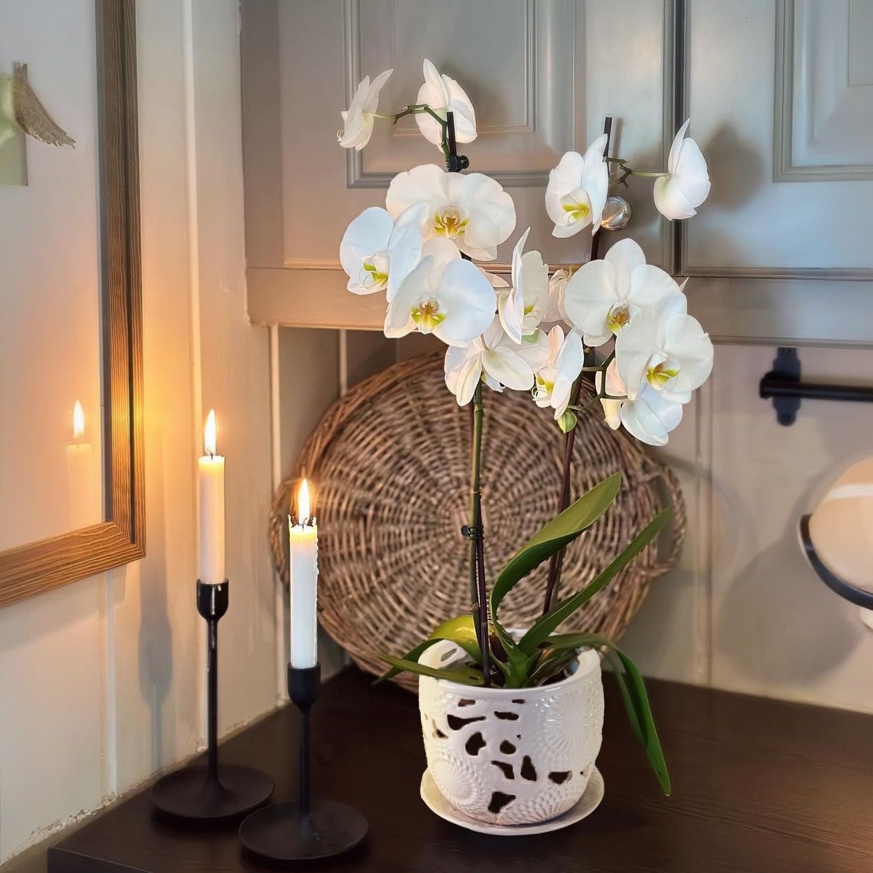 Ceramic Orchid Pot, Orchid Pots with Drainage Holes & Saucer 6.5 Inch,Orchid Pot for Repotting Indoor, Orchid Containers with Precise Aeration & Drainage