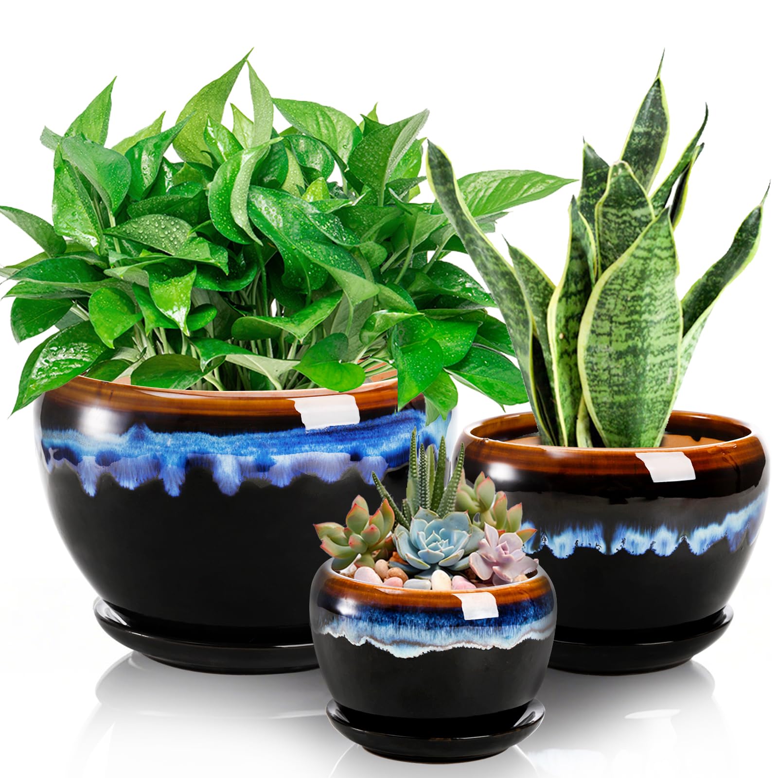 Amazon.com: AVLA 3 Pack Ceramic Flower Pots, Gardening Drip Glazed Planter, Plant  Pot with Drainage Hole and Saucer, 7/5/4 Inch Rustic Houseplant Container  for Succulent Herbs Cactus Orchid, Home Indoor Outdoor :