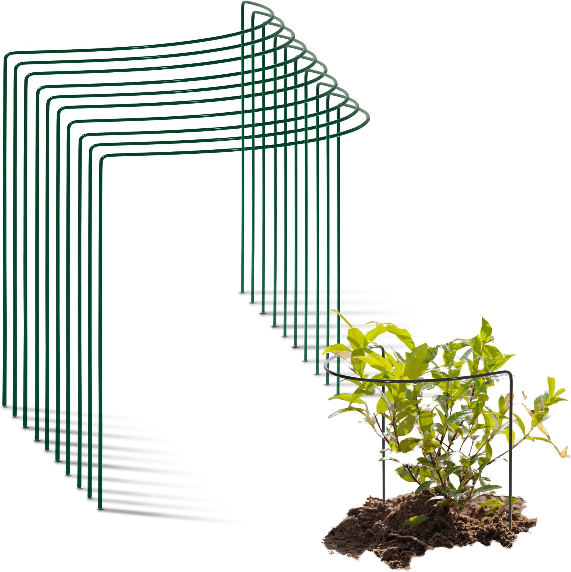 10 Stück Pflanzenstützen Metall - Halbrund Für Blumen & Gemüse