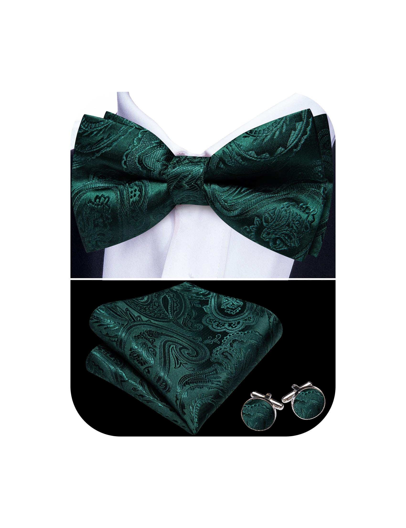 Barry.Wang Paisley Striped Bow Tie for Men Silk Pre-Tied Bowtie Set
