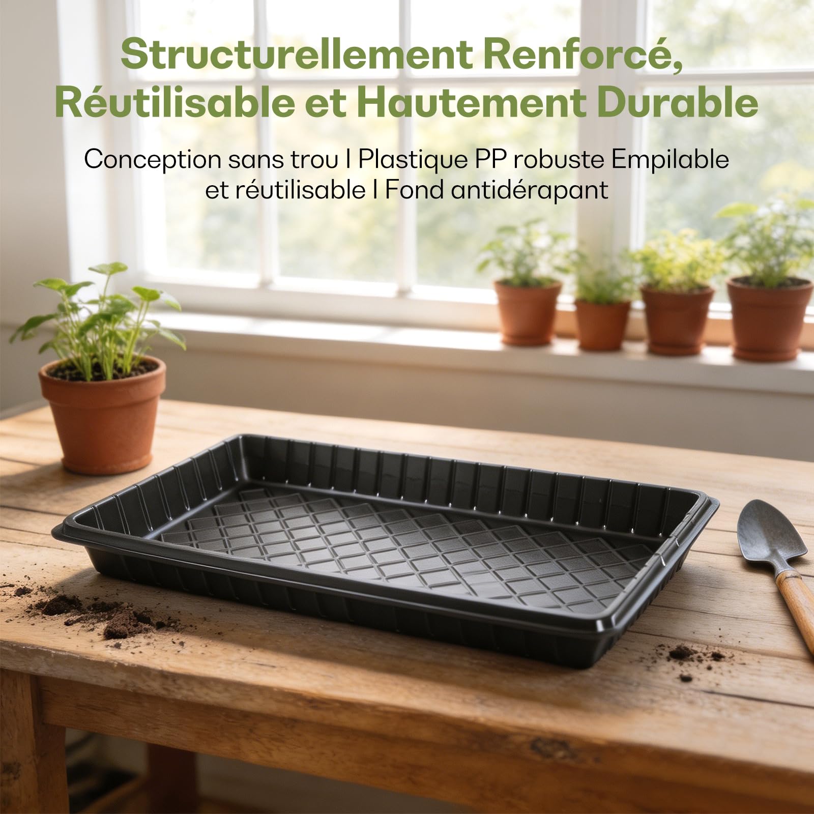 Lot de 10 Plateaux de Semis Réutilisables pour Pépinière, Bac pour Semis, Plateau de Germination, Plateaux de Culture de Graines, Plateaux de Semis de Jardinage et Intérieur, sans Trou