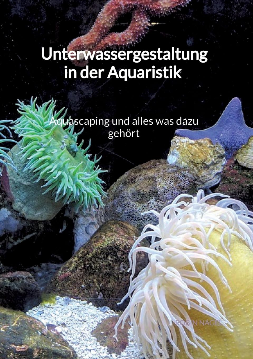 Unterwassergestaltung in der Aquaristik - Aquascaping und alles was dazu gehört