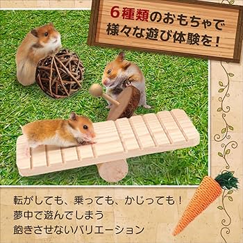 プリパラ オレンジハムスター プリパラ オレンジハムスター プリパラ オレンジハムスター