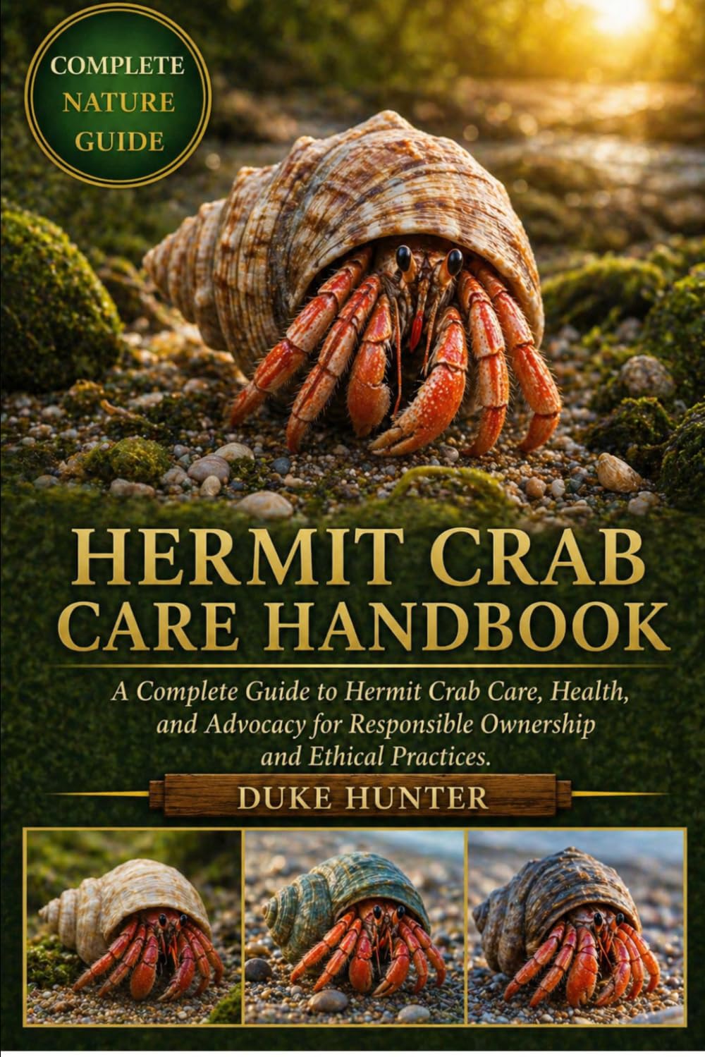 HERMIT CRAB CARE HANDBOOK: A Complete Guide to Hermit Crab Care, Health, and Advocacy for Responsible Ownership and Ethical Practices.