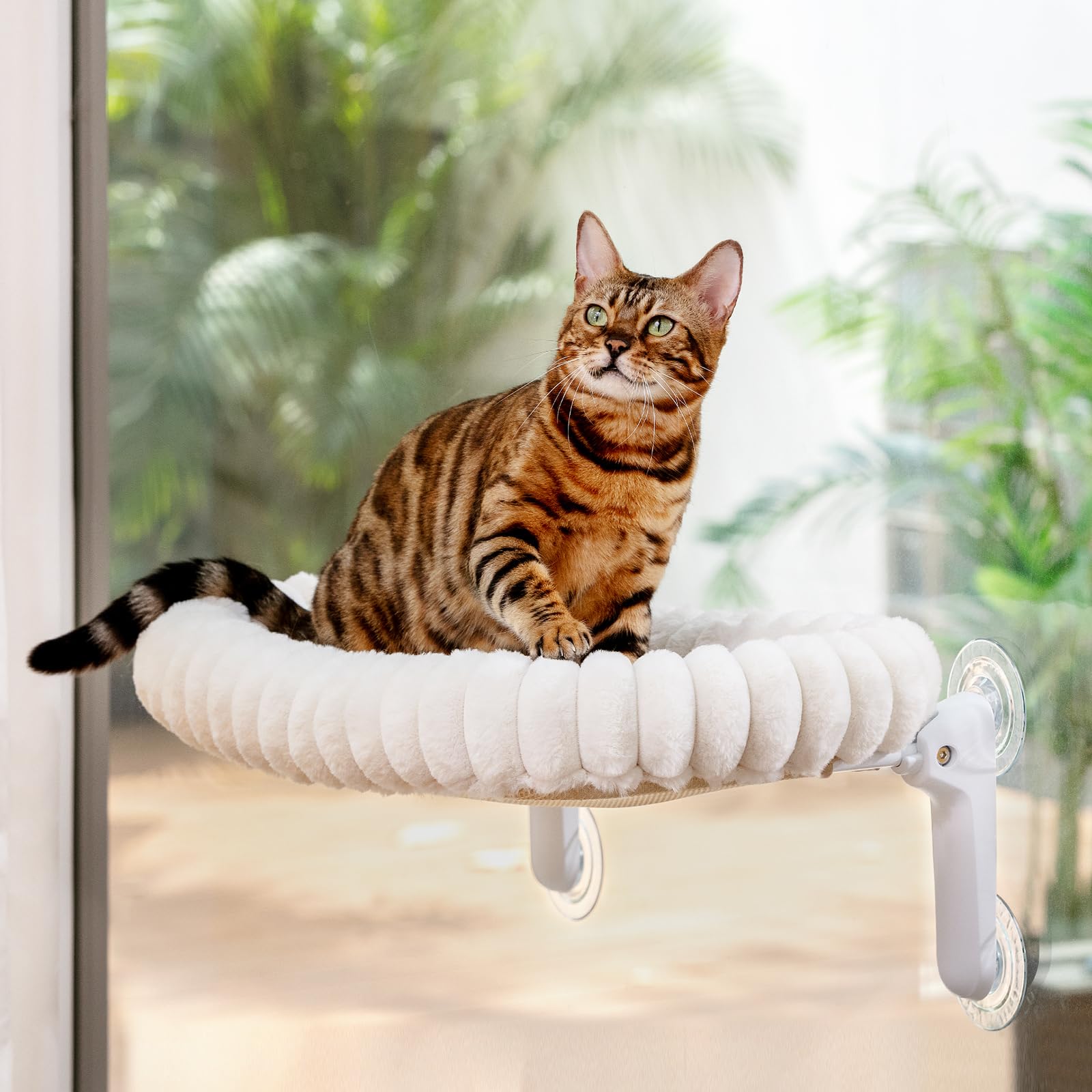 Sunhoo Cama plegable para ventana de gato, hamaca para alféizar de la ventana, asiento grande con ventosa para interiores, con cojín de felpa suave, lavable a máquina, 21.25 x 11.8 pulgadas (blanco, M