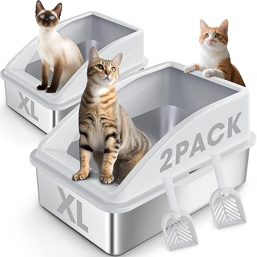 Open Top Automatic Litter Box — lifestyle photo
