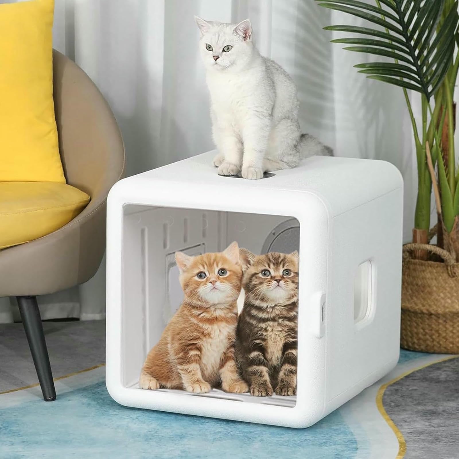 Boîte de séchoir de chats sûre et automatique avec température réglable