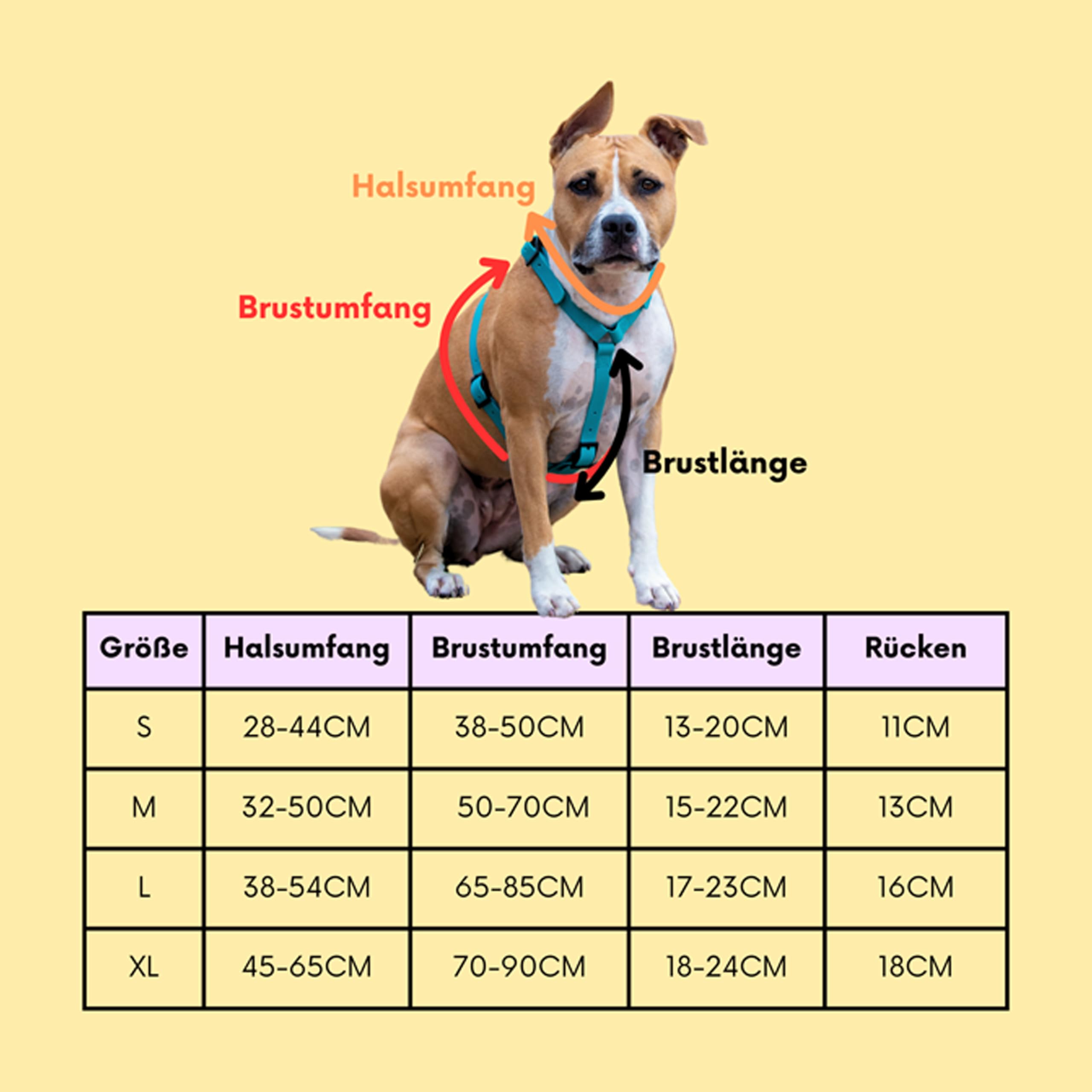 Arizona Hotdogs Harnais pour chien en PVC - Stable et imperméable - Bleu sarcelle - Taille XL