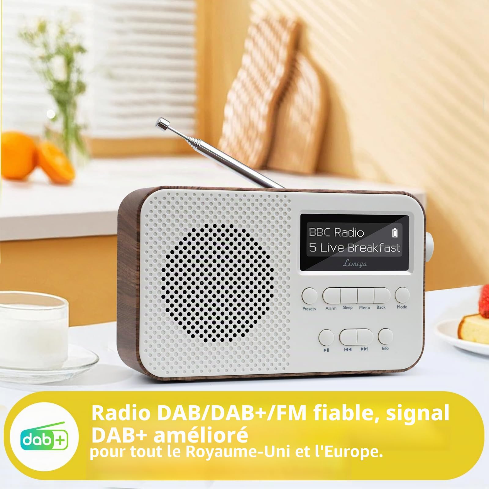 PR2-Max Radio numérique Dab Portable (Dab+,FM, Bluetooth 5.3,Batterie Rechargeable,Double Réveil,Snooze,40 Présélections,Minuterie de Mise en Veille,Petit) Idéale pour Cuisine ou Déplacement, Walnut