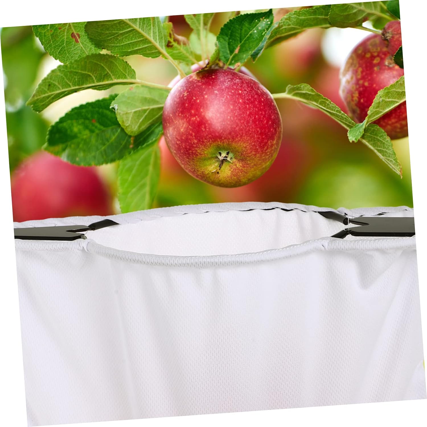 Stainless Steel Fruit Picker Tool Extendable Pole Dual Blade Design for Easy Harvesting of Apples Pears