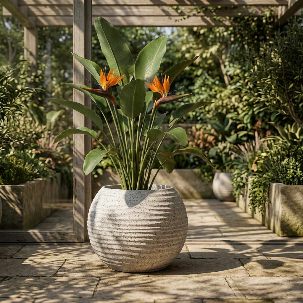 YUCCABE Fox Planter - Grey Wave Pot with Plate -19