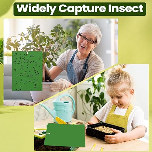 Miniatura 7 de 100 trampas adhesivas de 6 x 8 pulgadas para plantas, trampas adhesivas de doble cara para mosquitos con lazos giratorios, trampas adhesivas para