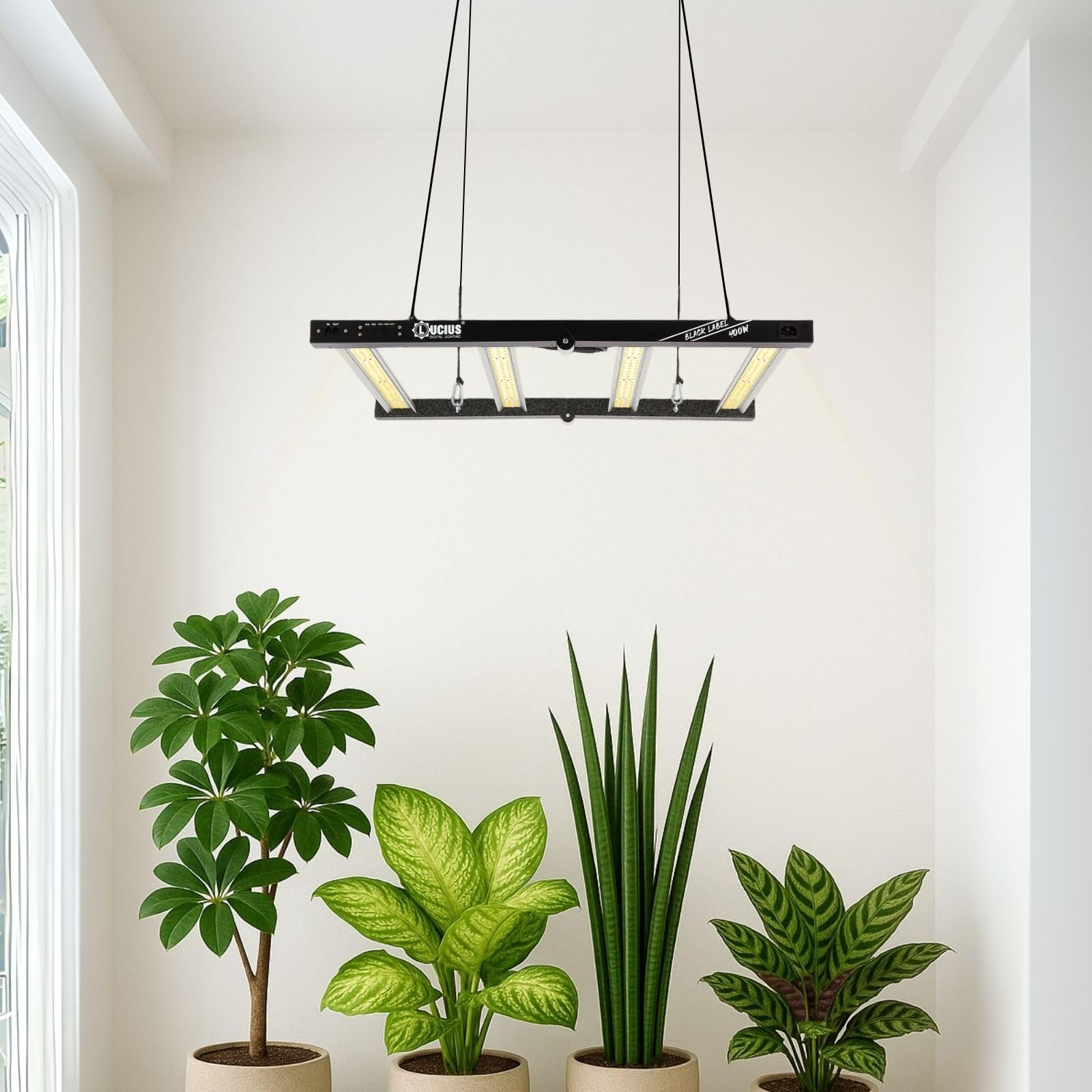 LUCIUS - Lampe LED 400W 2.9 - Culture en intérieur 80 x 80 cm, Croissance/Floraison, Intensité réglable, Serres et plantes d’intérieur, légumes et fleurs, Basse température
