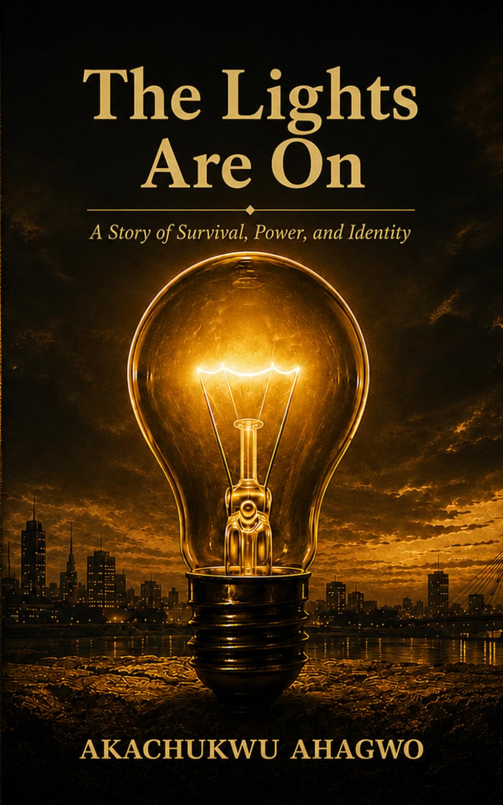The Lights Are On: A Story of Survival, Power and Identity