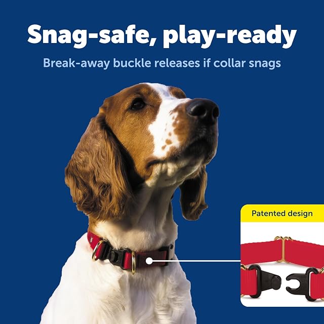 Foto 3 de 7 de PetSafe KeepSafe - Collar de Freno