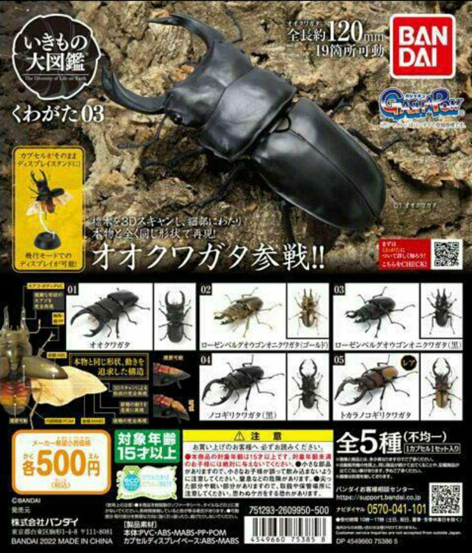 いきもの大図鑑 くわがた10 オンライン版　コンプセット(計15個セット) いきもの大図鑑 くわがた10 樹皮台座（小）セット｜いきもの大