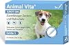 Animal Vita Spot On Tick Protection for Dogs [Reliable Tick Protection] Tick Repellent - Tick Protection - Spot On for Small Dogs (2 to 10 kg)