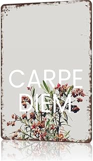 Funny Metal Sign Carpe Diem Vintage Tin Signs Poster For Home Room Bedroom Office Decor 8x12inch