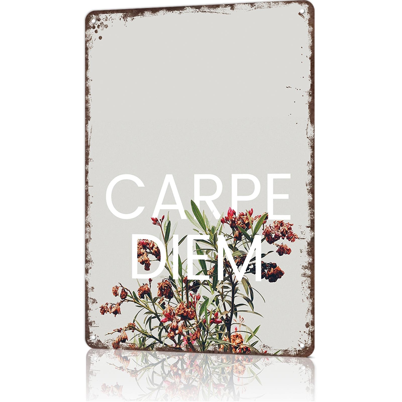 KWQDOZF Funny Metal Sign Carpe Diem Vintage Tin Signs Poster For Home Room Bedroom Office Decor 8x12inch