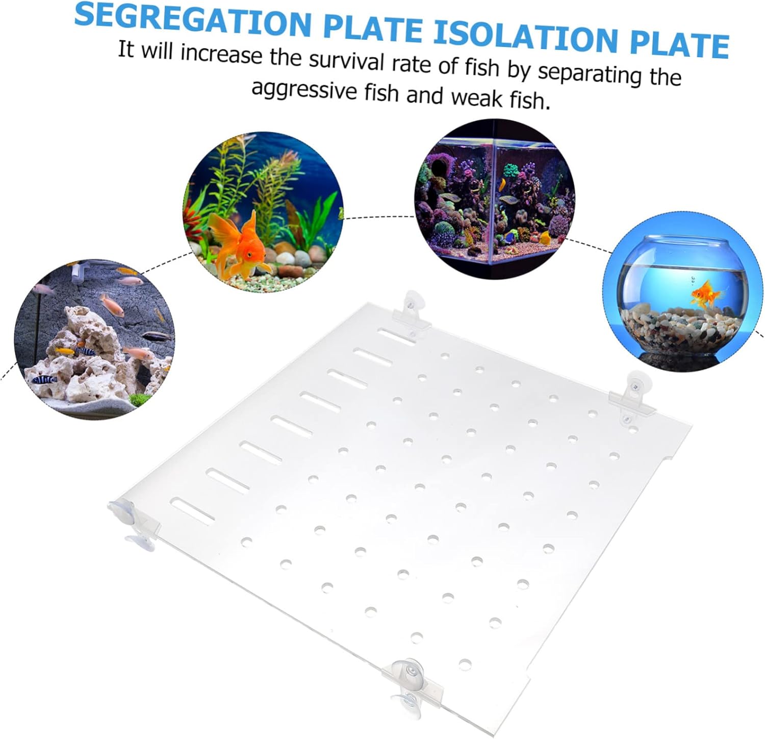 1set Acrylic Fish Tank Isolation Plate Divider for Aquarium Easy to Install Prevents Fry from Mixing Includes Fixed Clips Thick