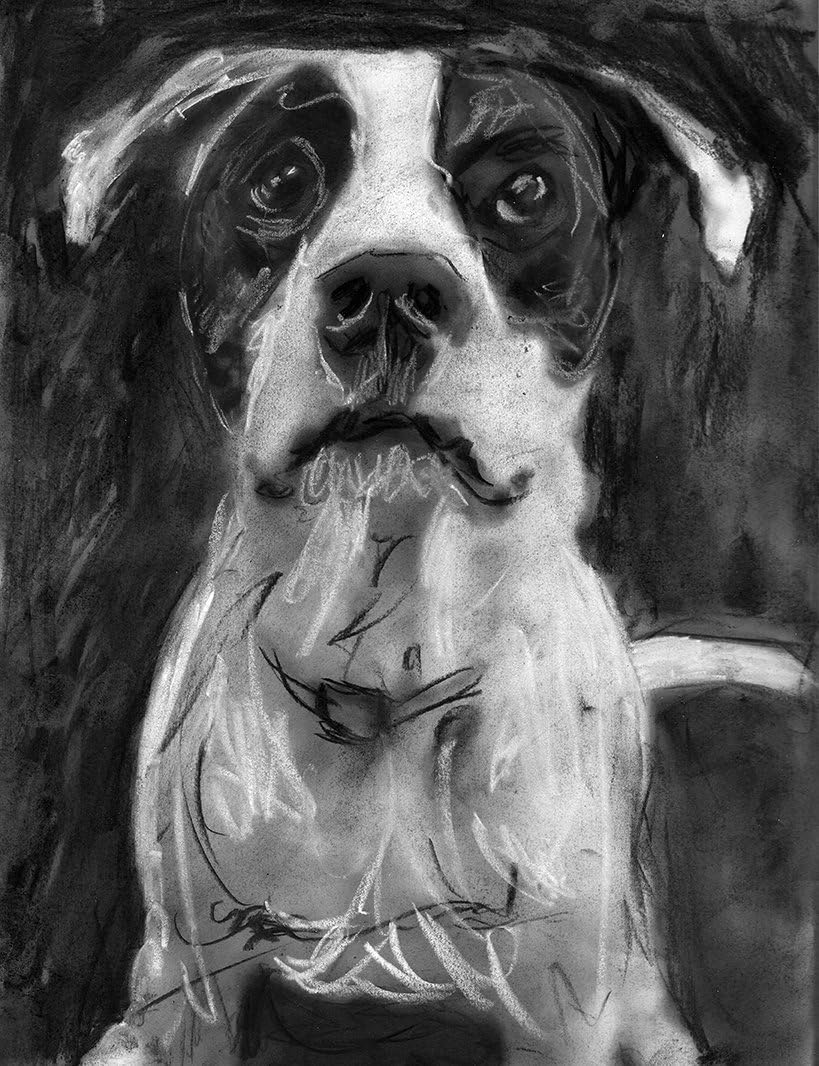 Staffordshire Bull Terrier Art, Staffy Gift, Black and white American Staffy Wall Art Print, Dog Home Decor hand signed by Oscar Jetson