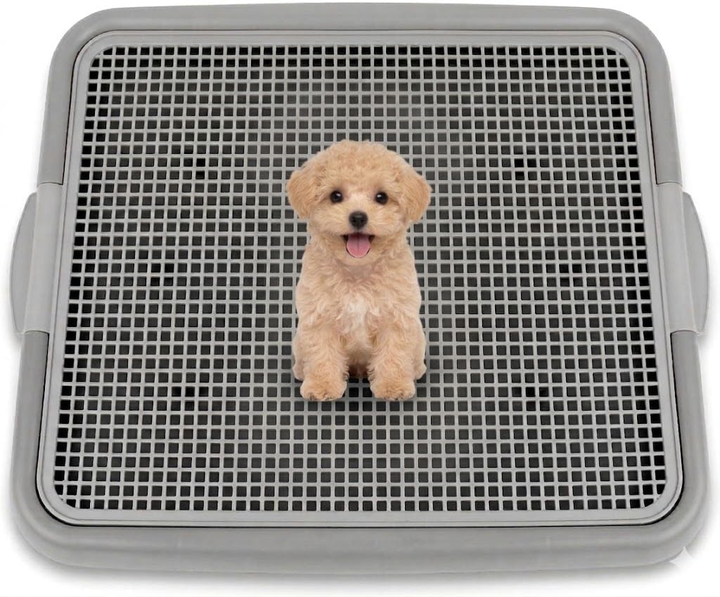 UPIT Puppy Potty Tray with Mesh – Dog Pee Pad Holder for Small Dogs & Puppies, Indoor Dog Potty Training Toilet, Plastic Leak-Proof Dog Potty Tray (Small - 20 x 16 in)