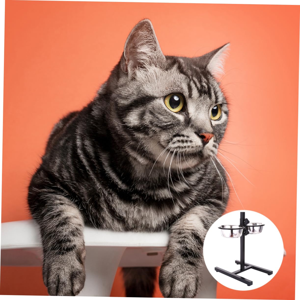 BESPORTBLE Comedero Plegable para Mascotas Tazones de Comida y Agua Elevado 2 Cuencos de Acero Inoxidable Ajustable para Perros y Gatos