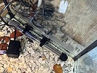 Review Image by Hazel Lancaster Hazel Lancaster