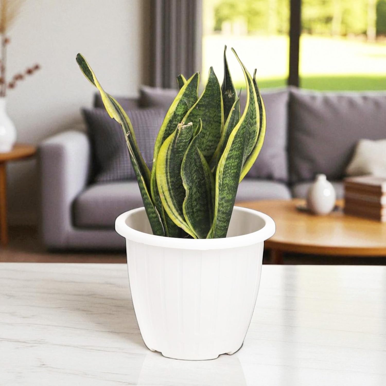 White Flower Pots - 6 Pack for Gardening -8 White Flower Pots - 6 Pack for Gardening -8