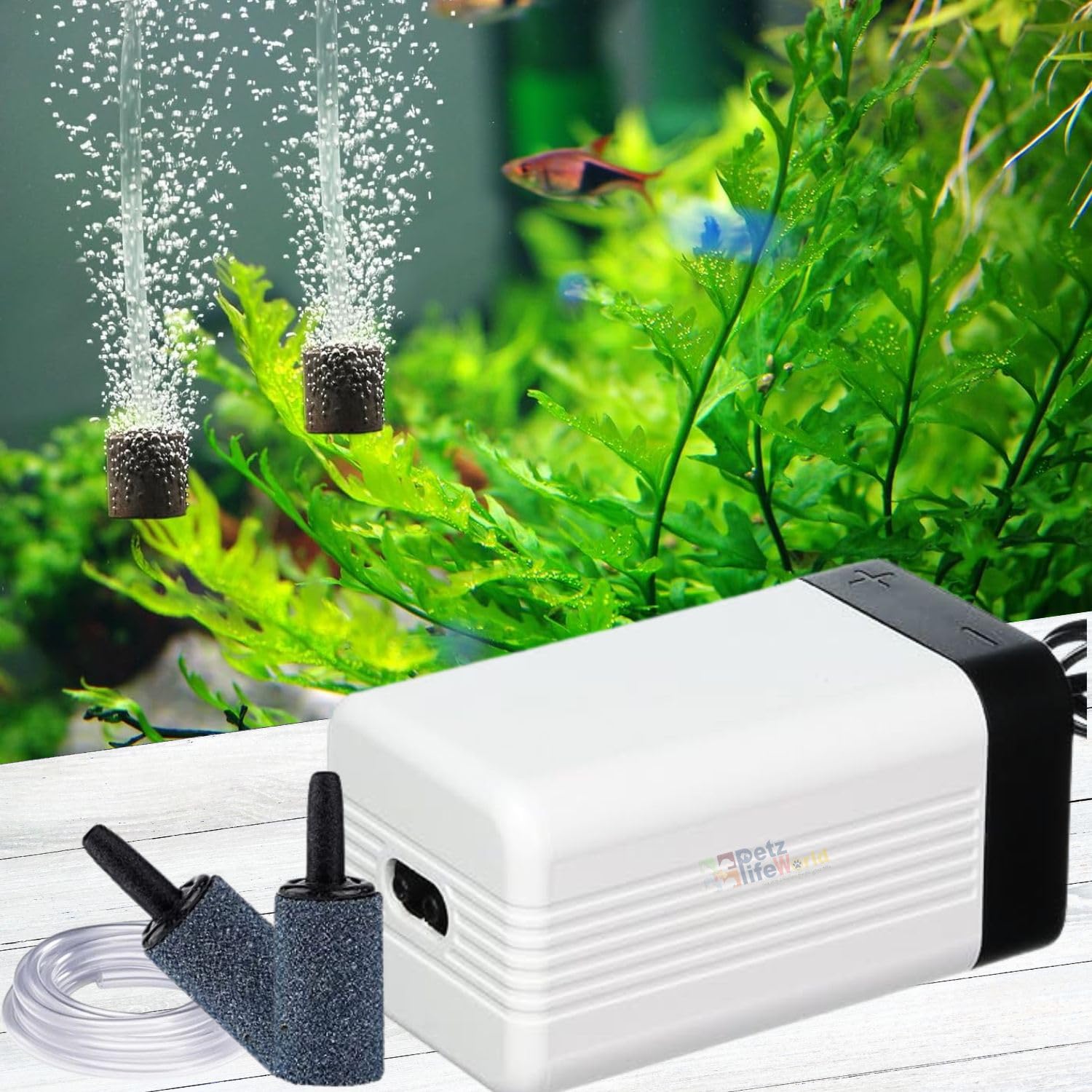 VAYINATO® CT-202 | 4Watts | 1.5L/Min*2 Dual Outlet Adjustable Fish Tank Aerator with Free Airtube & Airstone, Ultra Quiet Aerator Pump for Aquarium Fidh Tank by Petzlifeworld (B0D1MP3CDL) Amazon Price History, Amazon Price Tracker