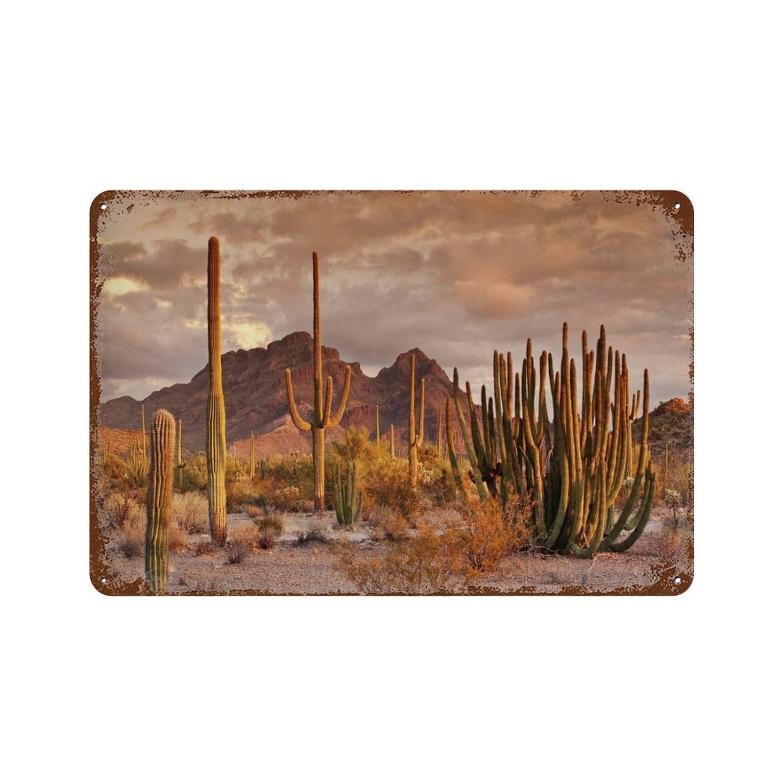 xiaoxiaoshen Vintage Desert Landscape Southwestern Cactus Decor Wall Decor Art Metal Tin Poster Modern Home Decor Art Home Bar Shop Decorations Vintage Sign 20x30cm