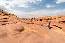 Review Image by Y. Wang Y. Wang