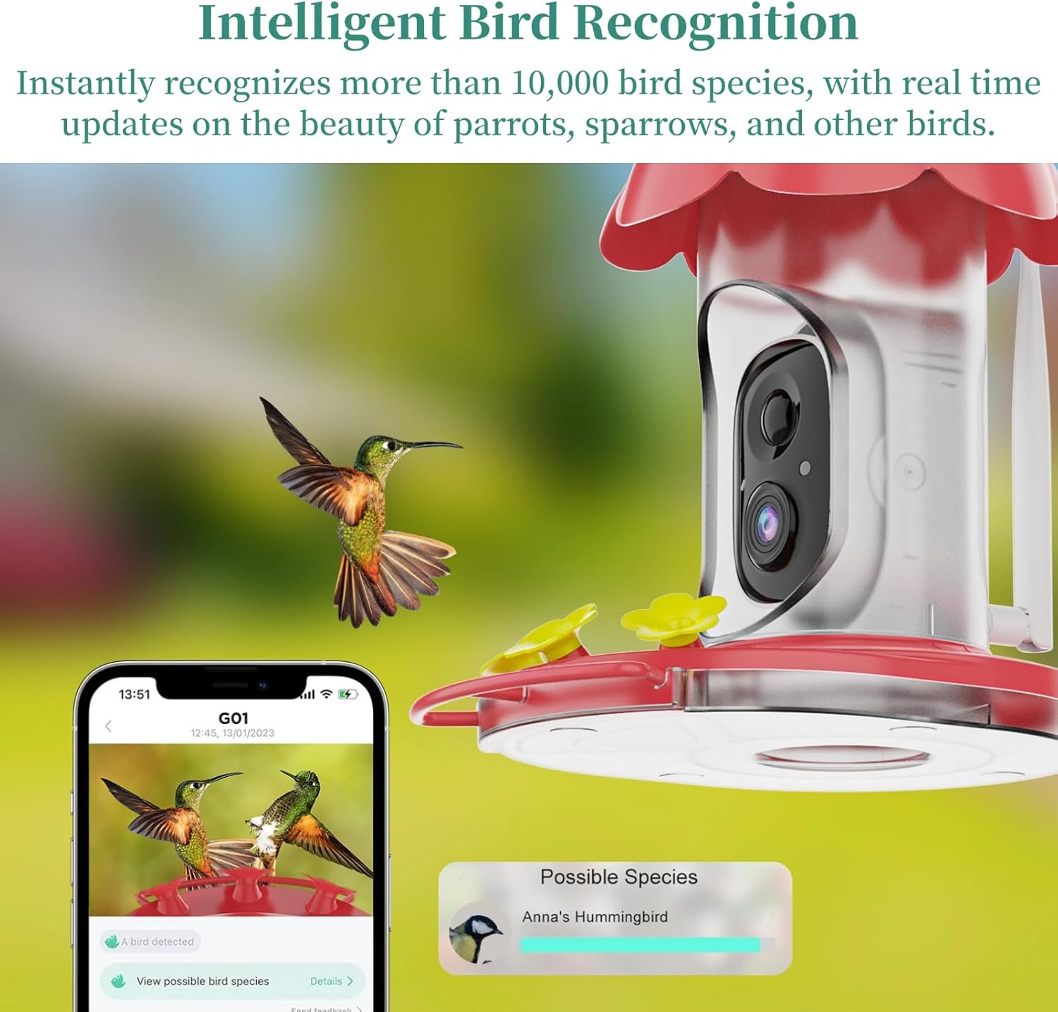 Bird Feeder Camera, 1080P HD 160° Wide Angle Cam, Over 10000 Birds Identify, Loop Recording Outdoor Solar Powered Camera, Gift for Bird Lover