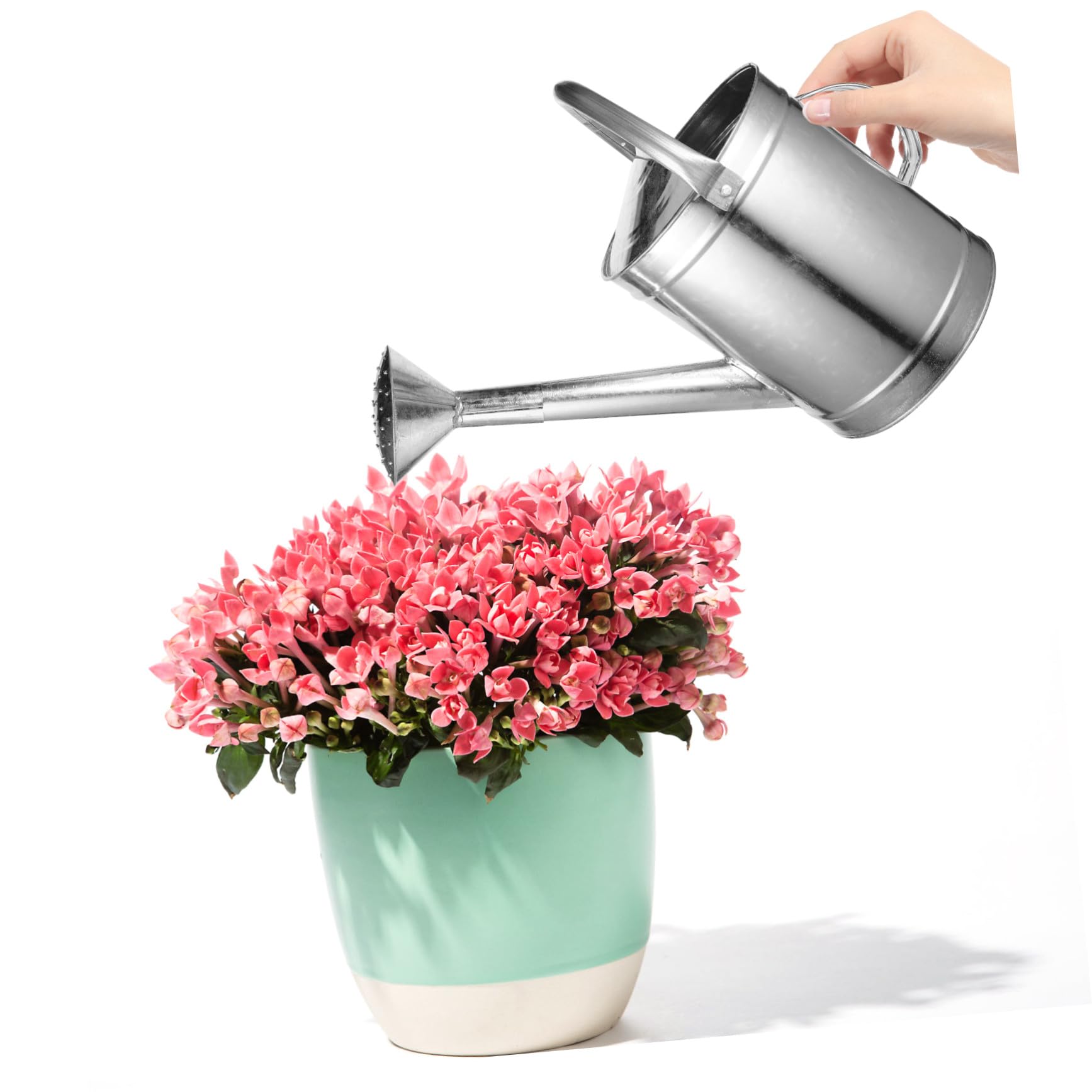 Regadera de Hierro Resistente de 5 litros para Jardín y Plantas, Boquilla Rociadora Ergonómica, Maceta de Riego para Suculentas y Plantas de Interior y Exterior Varios Estilos