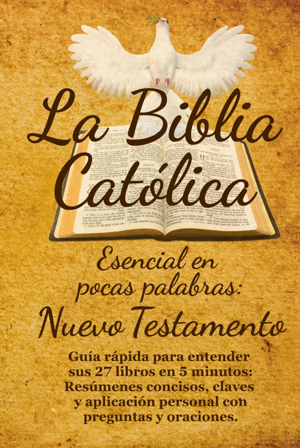 La Biblia Católica Esencial en Pocas Palabras: Nuevo Testamento: Guía rápida para entender sus 27 libros en 5 minutos: Resúmenes concisos, claves y aplicación personal con preguntas y oraciones.