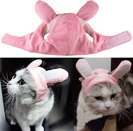 Bunny hat for dogs Clearance