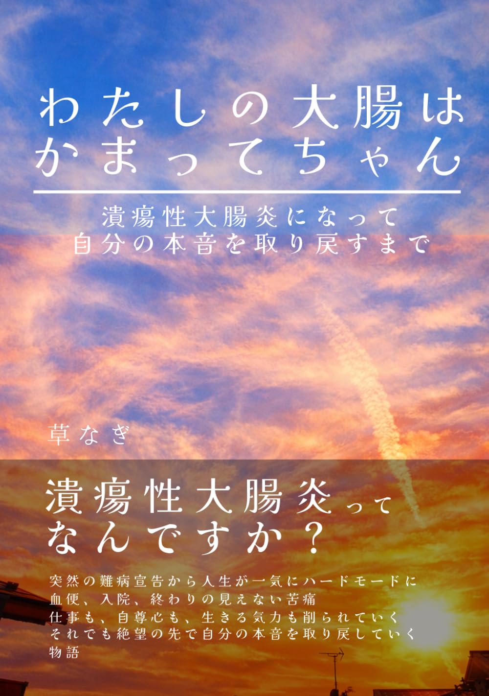 わたしの大腸は かまってちゃん: 潰瘍性大腸炎になって自分の本音を取り戻すまで
