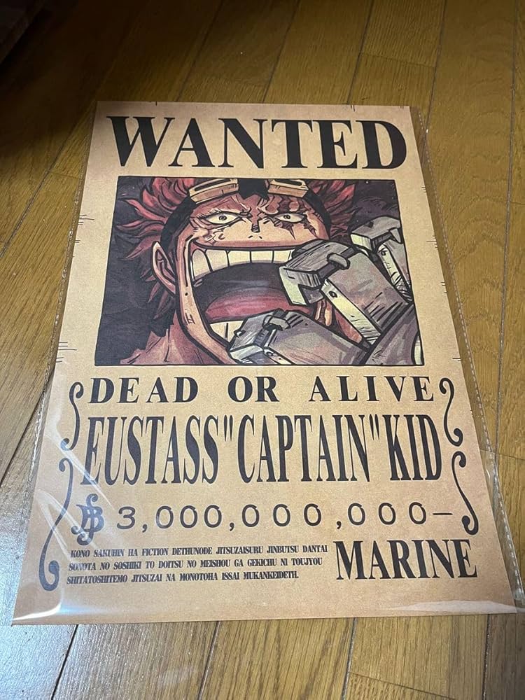 Amazon.co.jp: ワンピ ース ONEPIECE ニカルフィ 手配書 懸賞金