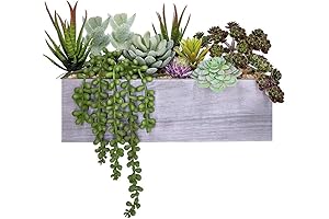 Supla Small Artificial Succulent Arrangements