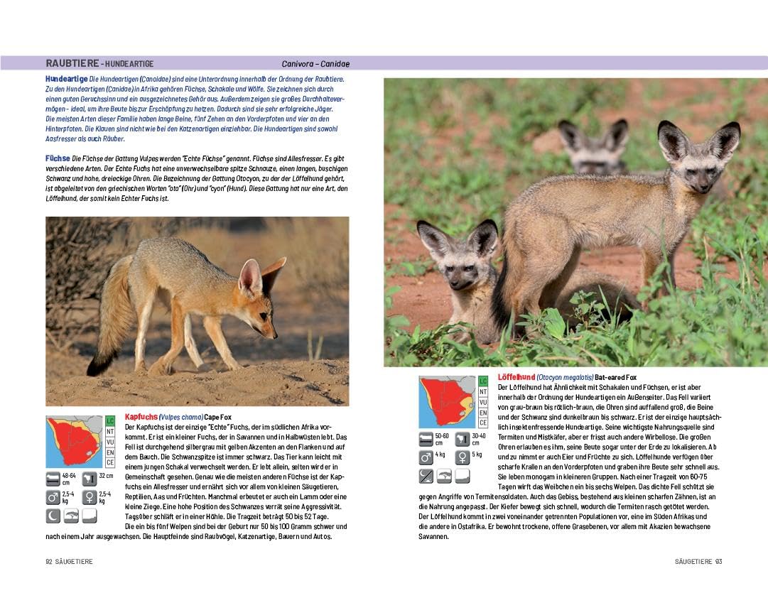 Safari-Reiseführer Südliches Afrika: Wenn Sie wissen möchten welches Tier Sie vor der Linse haben!: Säugetiere, Reptilien, Vögel und Nationalparks-Südafrika, Botswana ind Namibia