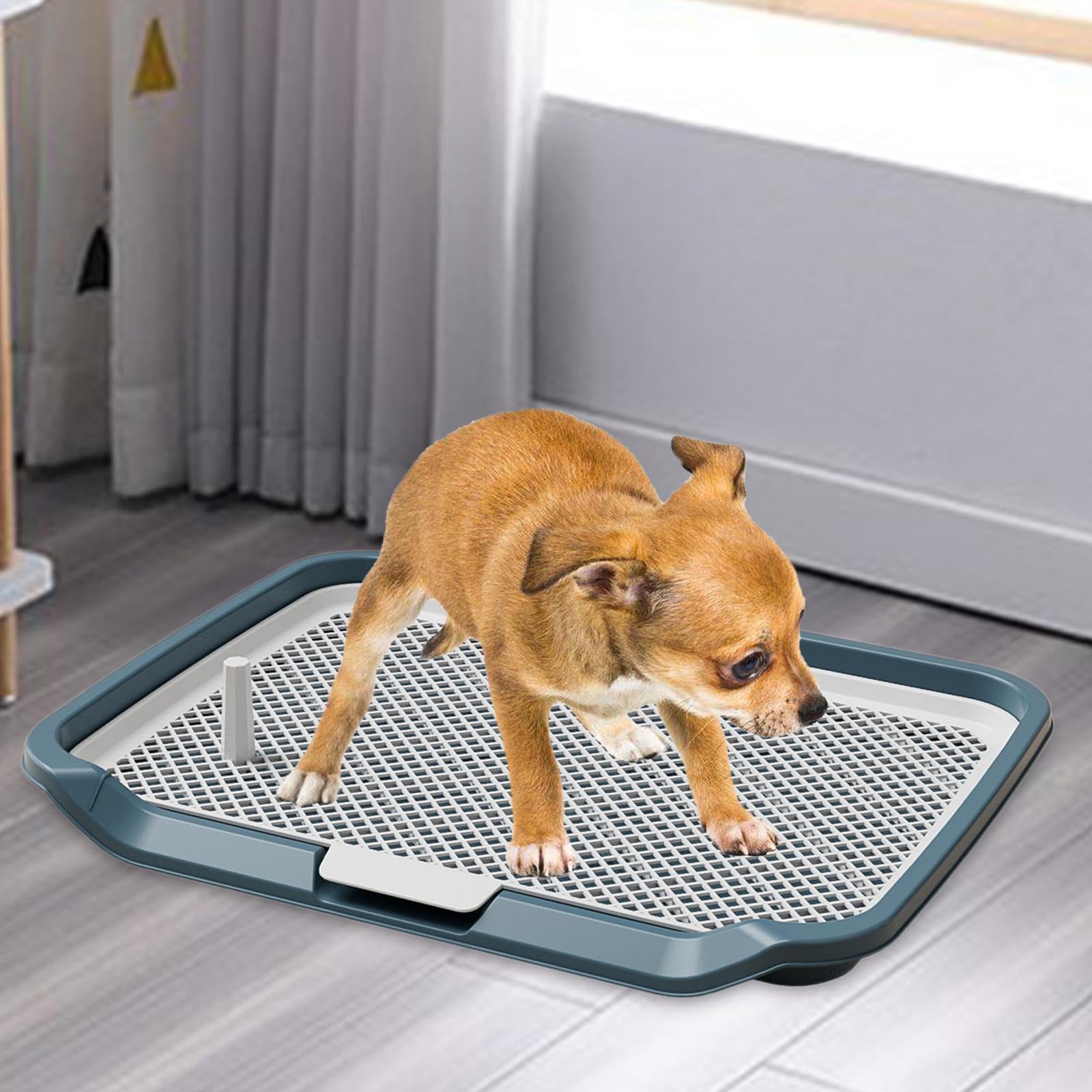 Inodoro para Perros, Inodoro para Gatos, de Entrenamiento para Cachorros, Inodoro para Animales Pequeños/Conejos Fabricado en Material PP C