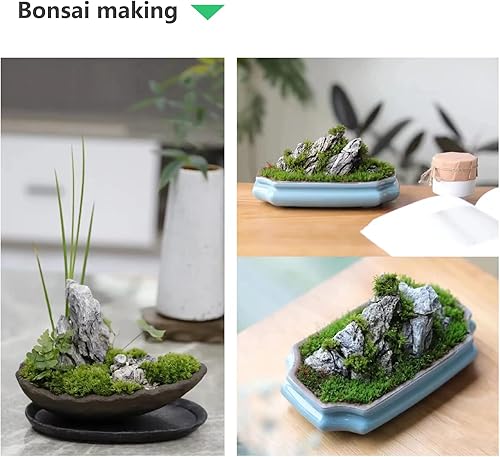 Miniatura 6 de KINGRUI - Piedra de roca natural Seiryu, piedra de dragón, adecuada para modelos de paisajismo de acuarios y decoración de peceras, recintos de