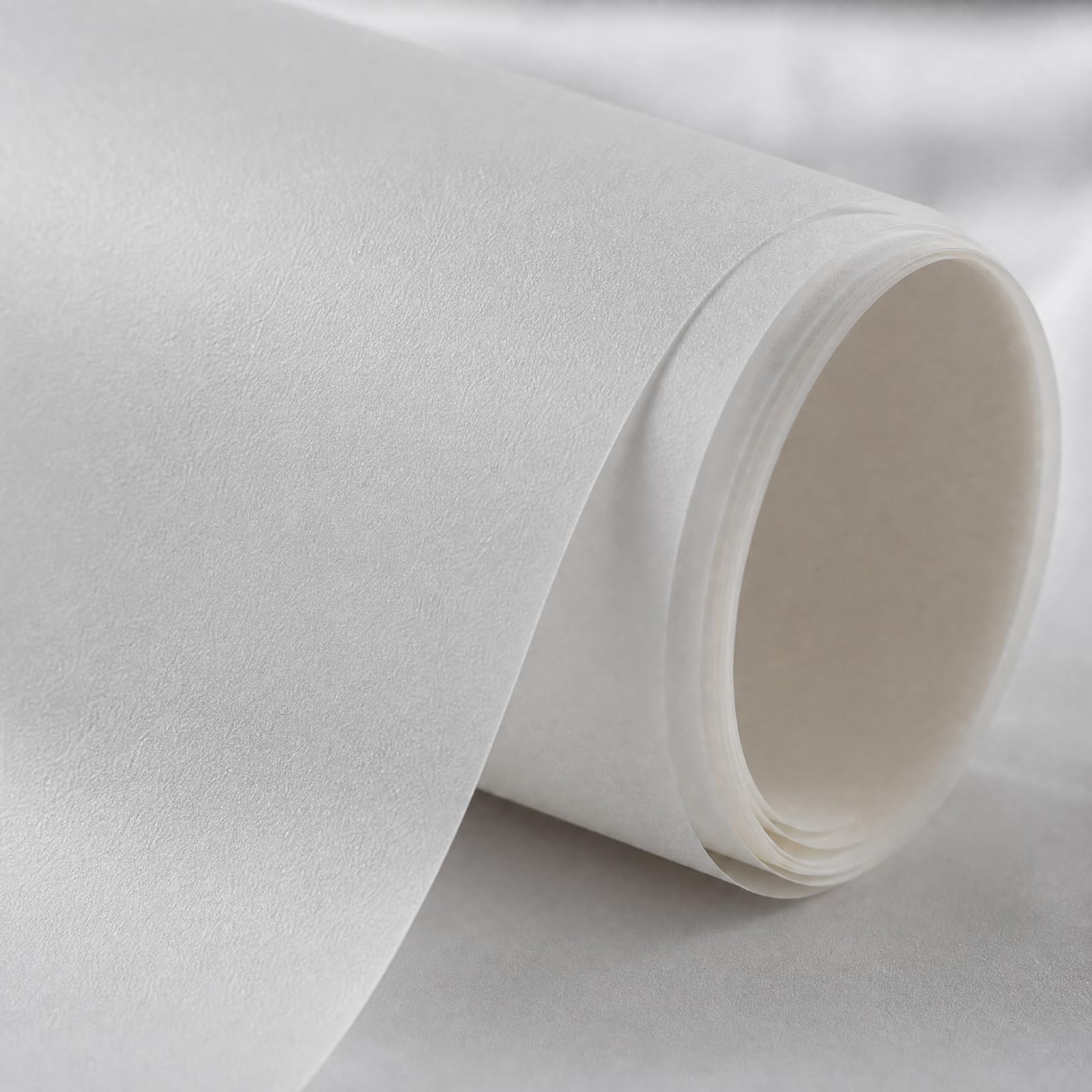 Gralara Fondo Papel sin Costuras No Reflectante Fondo Fotográfico Portátil para Estudios Caseros Pequeños, 300cm