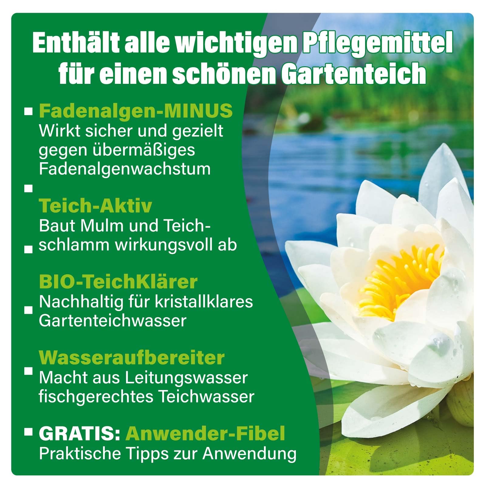 AQUALITY 5er Teichpflege Komplettset (Perfekte Gartenteich-Pflege. Wasseraufbereiter, Teichklärer, Teich-Aktiv und Fadenalgen-Vernichter + GRATIS Anwender-Fibel), Set-Größe:XXL Teichpflege-Set