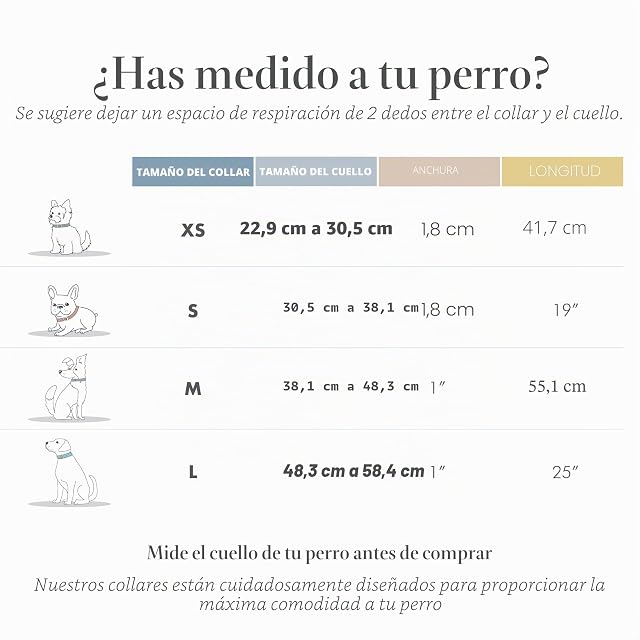 Foto 2 de 8 de NINA WOOF - Collar Cupertino Ajustable para Perro, Compatible con Airtag, Arnes y Correa para Perros Hecho…